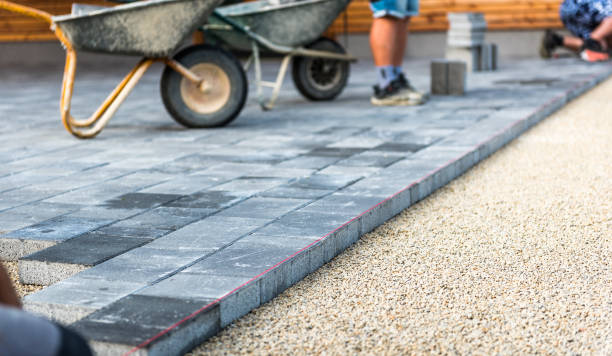 Best Driveway Paving Contractor  in Renville, MN