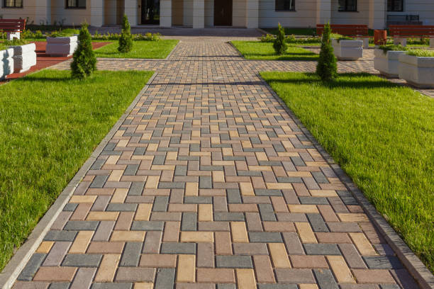 Best Driveway Repair Near Me  in Renville, MN